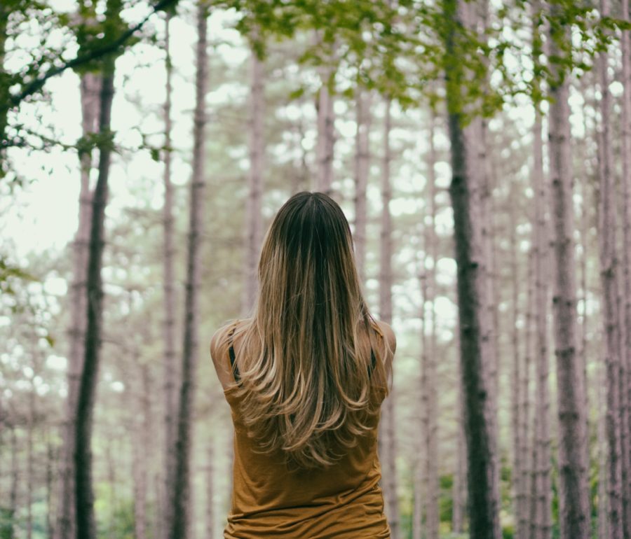 An Invitation to Stillness in Jesus